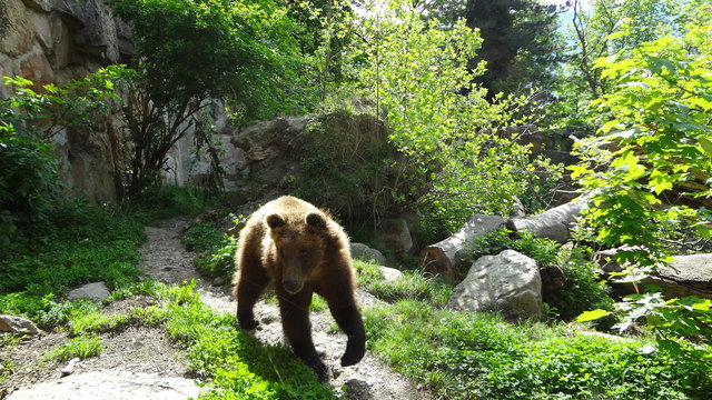 Ich lasse mir die Sonne auf meinen Pelz scheinen.