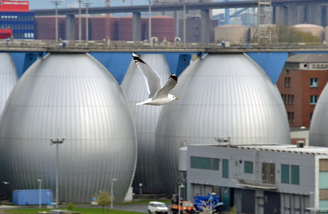 Die "Möwe Jonathan"