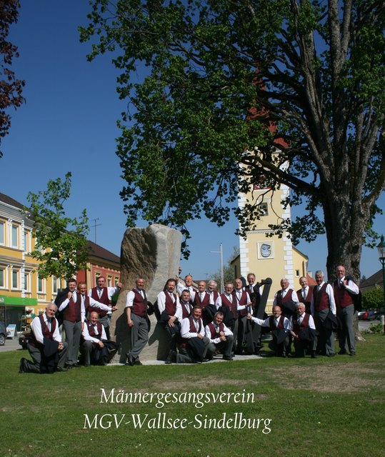 Unser Verein - MGV Wallsee-Sindelburg