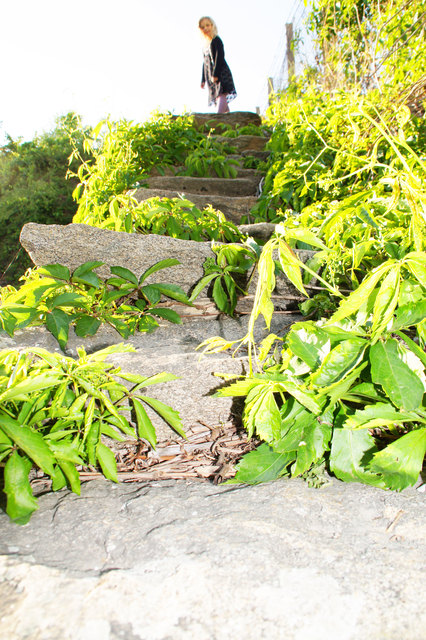 Wildromantisch: Die Natursteintreppe am Kremser Kögel- grün umrankt und heiß beschienen.