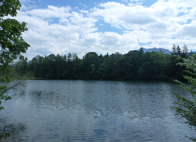 Rheintalersee