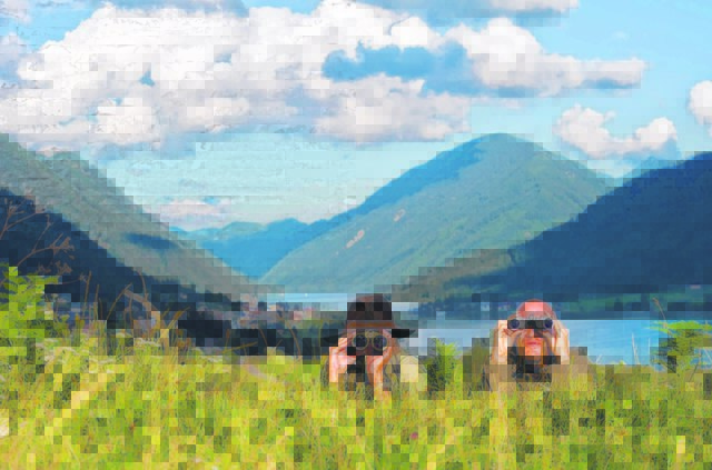 Für den ersten Kärntner Regionalitätspreis werden ab sofort Bewerber gesucht