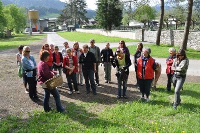Alle Teilnehmerinnen waren von der Kräuterwanderung mit Gisela Widauer, die von der Bibliothek Kirchdorf organisiert wurde, vollauf begeistert | Foto: Bibliothek Kirchdorf