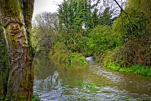 Baumbart, the last Ent of Middle-Earth...and i´ve found him...