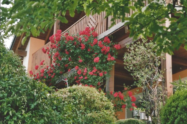 Musikalische Gartenwanderung durch Arbing