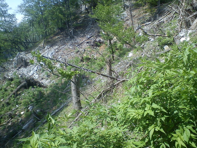 Sturm Paula hinterließ hier vor Jahren seine Spuren ...