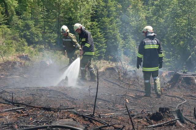 Insgesamt sieben Feuerwehren waren zur Waldbrandbekämpfung im Einsatz.