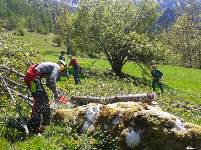 Schlierbachs Landwirtschaftsschüler leisteten einen wertvollen Beitrag zur Erhaltung der Wälder und der Almen. | Foto: David Sieghartsleitner