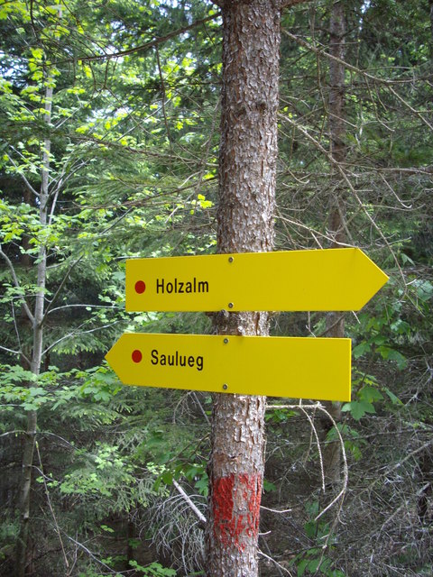 Singletrails kufstein