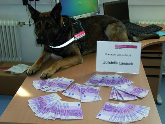 Bargeldspürhund Sam witterte das geschmuggelte Geld. | Foto: Zollamt Innsbruck