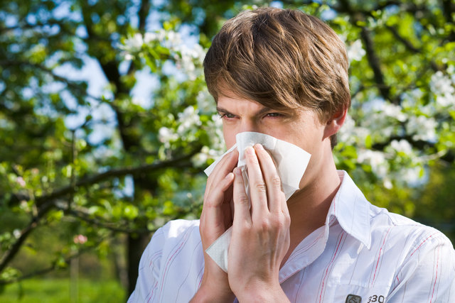 Die Belastung mit Pollen sinkt zurzeit. | Foto: Henry Schmitt/Fotolia