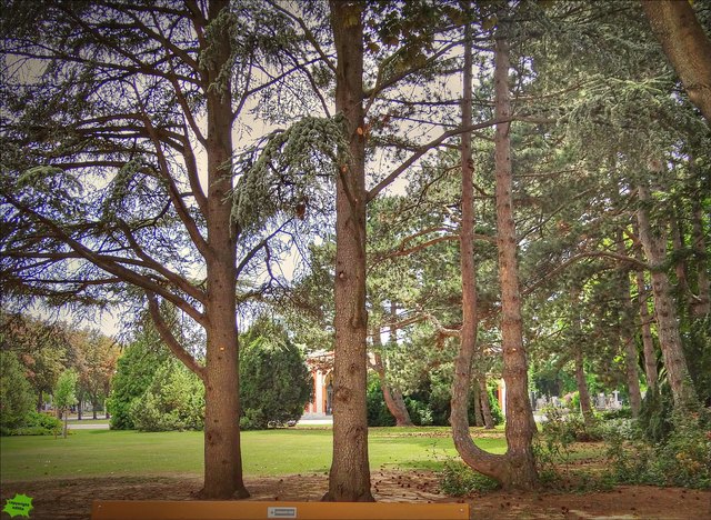 Auch das ist der Zentralfriedhof
