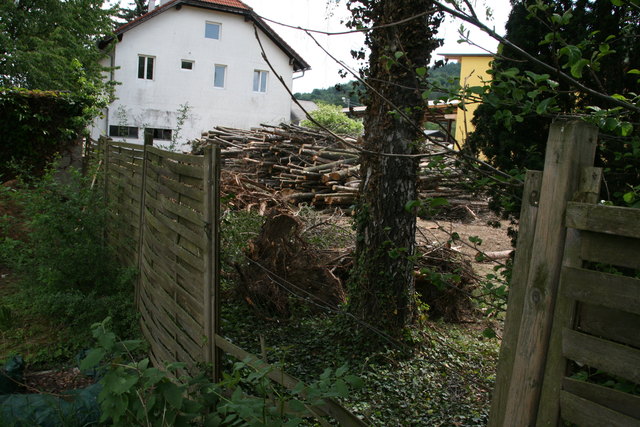 Hier liegt das Holz von Franz Harold, welches auf seinem Privatgrundstück verarbeitet wird.