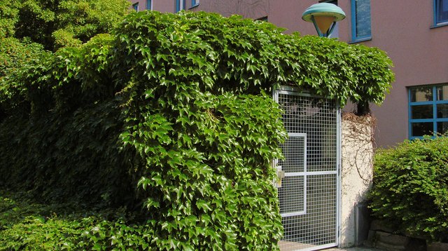 Wie schön von außen, !!!;-)))