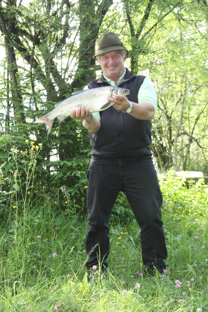 fischen Thema auf meinbezirk.at fischen Thema auf meinbezirk.at