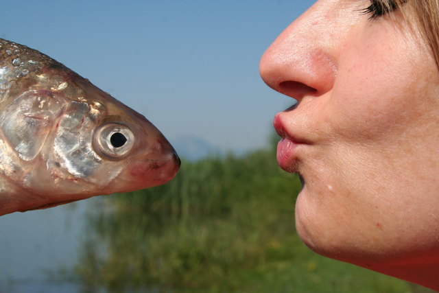 Die Trinkwasserqualität der Gewässer in unserem Bundesland liefert beste frische Fische.