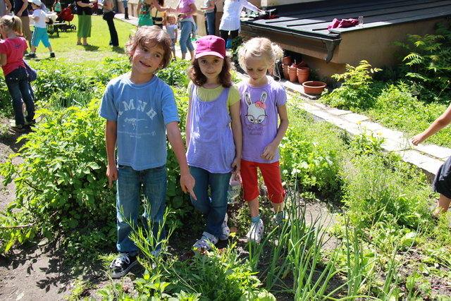 Die 44 Kinder der 1a und 1b Klasse sind mittlerweile richtige Profis, was Gemüse und Garten anbelangt.