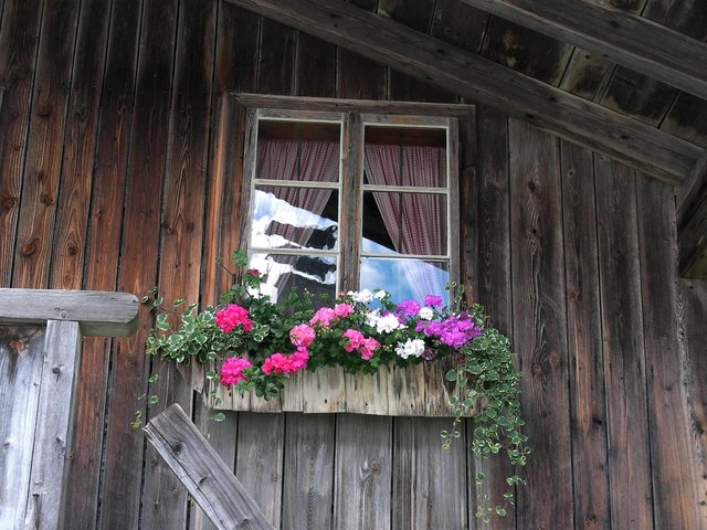 Foto: Martina Lengauer