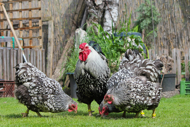 Foto: Fotovision Manuela