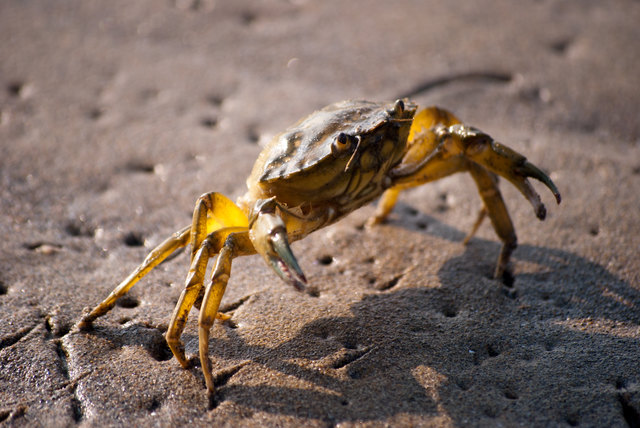 Foto: Christoph Huber