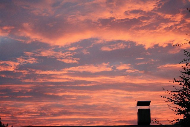 Foto: Reinhard Thrainer Jr.