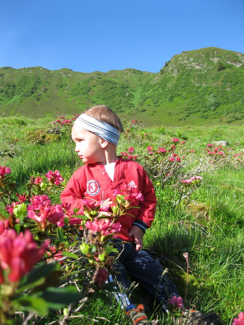 Foto: Birgit Kaltschmid