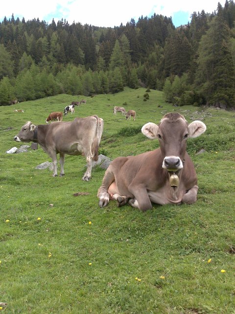 Foto: Ferdinand Mader