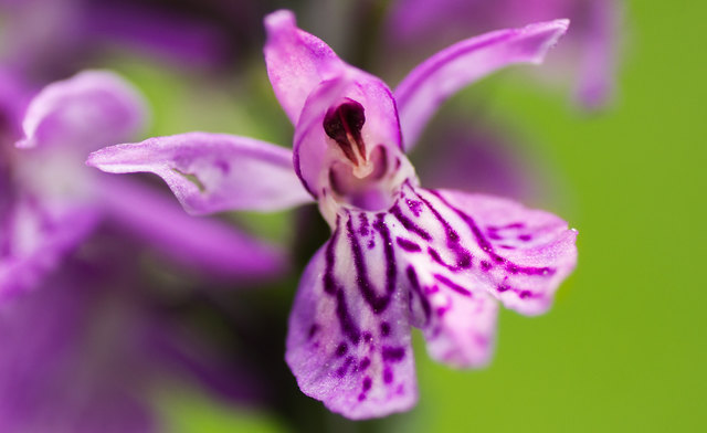 Foto: Andreas Wegscheider