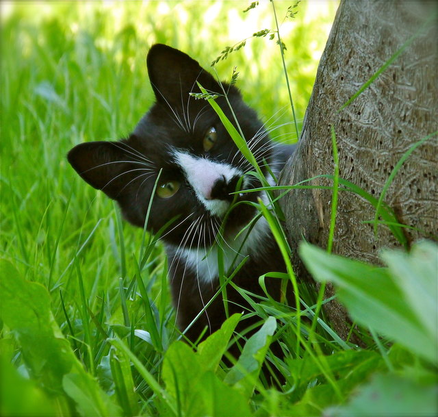 Foto: Klaus Madersbacher