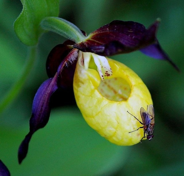 Foto: Patrick Kastner