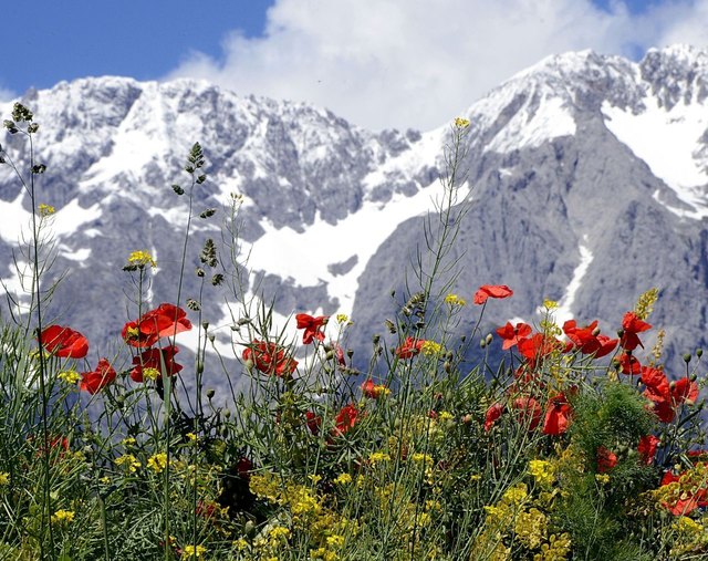 Foto: Elisabeth Fazel