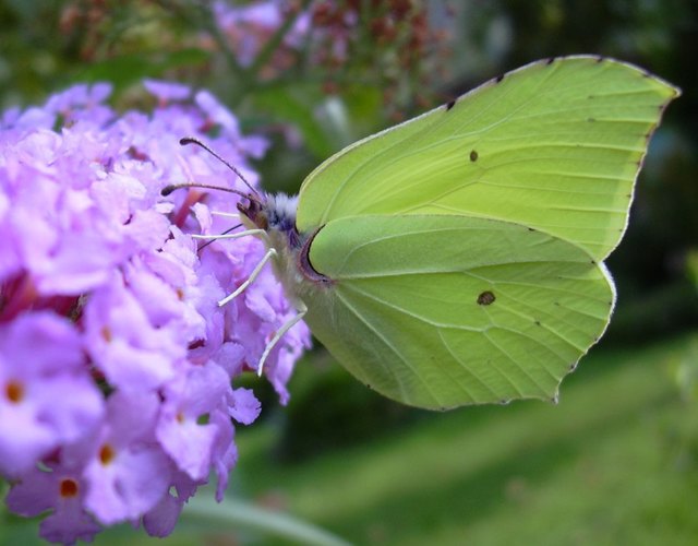 Foto: Ingrid Margreiter