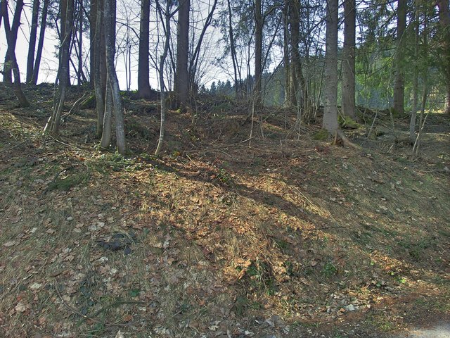 Waldboden