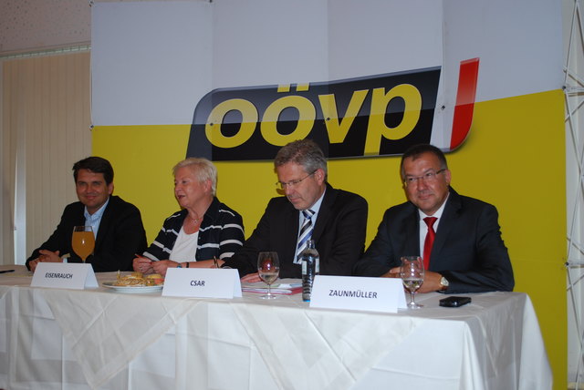 Stadtrat Peter Lehner, Vizebürgermeisterin Anna Eisenrauch, Landtagsabgeordneter Peter Csar und Gemeinderat Walter Zaunmüller (v.l.).