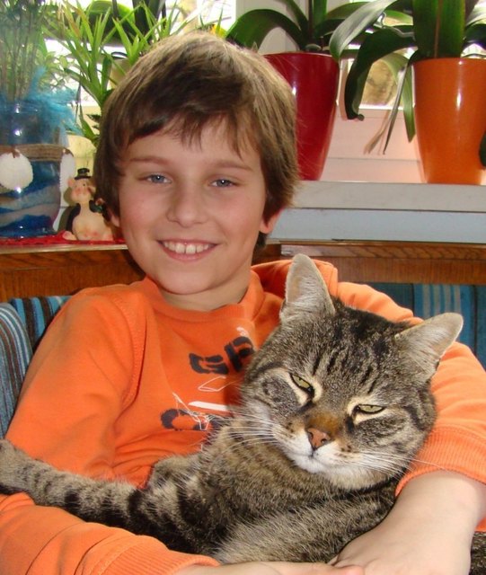 Felix Strauß, VS Micheldorf