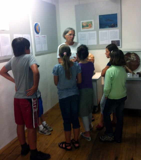 Mag. Brigitte Derntl erklärt Details der Sonderausstellung im Heimatmuseum-Schloss Pragstein.