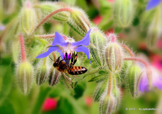 Ich kann auch im Hängen arbeiten