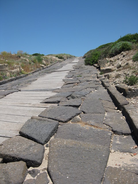 harter Weg nach oben, aber es blühen schöne Aussichten