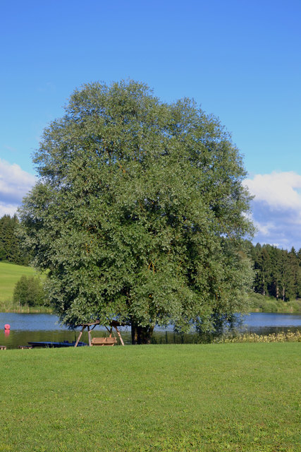 Aufnahme auf einen Campingplatz in Mühlen (STMK), den ich noch genauer vostellen werde.