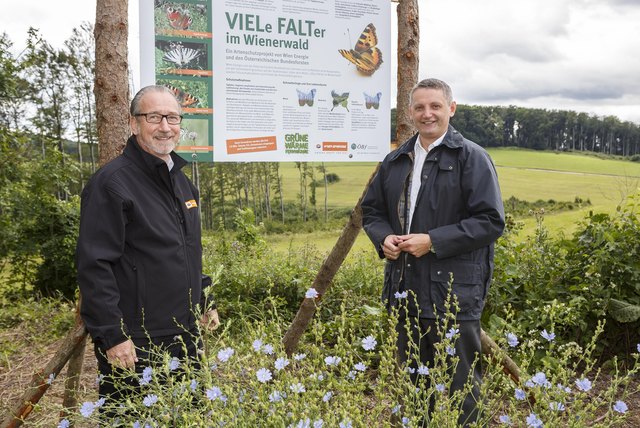 Foto: Bundesforste/Christian Hofer