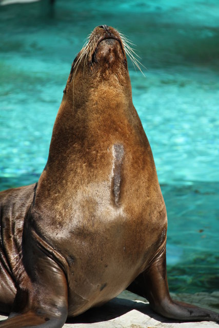 EIN SONNENBAD IN SCHÖNBRUNN