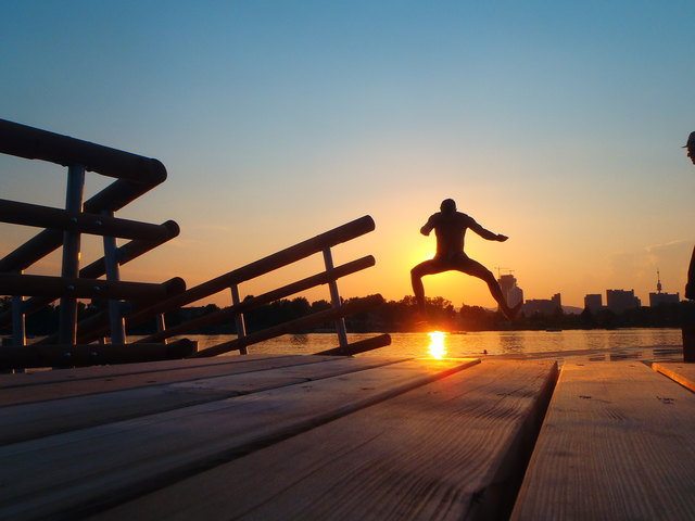 Sommerabend an der Alten Donau