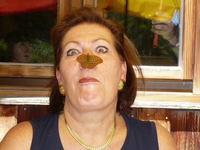 Besuch auf der Moosalm und schwupps kommt ein Schmetterling auf meine Nase