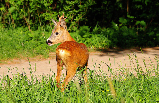 Unterwegs in den Steinhof Gründen