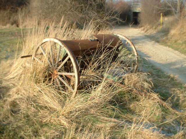 Vergängliches auf den oberlaaer Sommerfeldern
