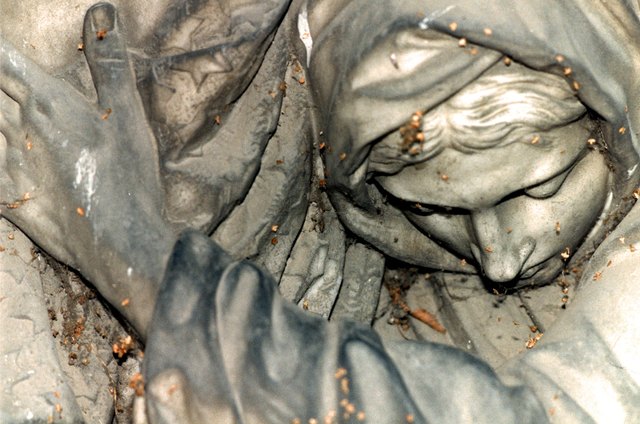 Wiener Zentralfriedhof