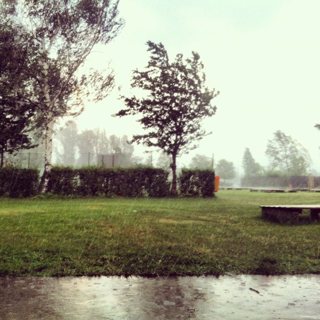 Gänsehäufel unter dem Regen!