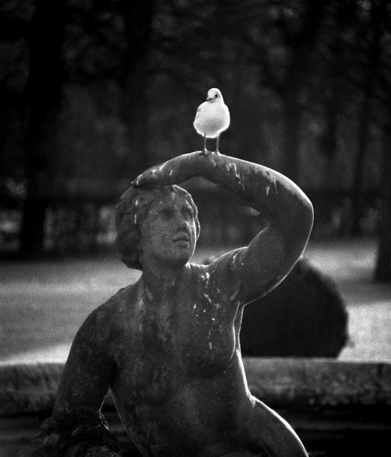 Alles Gute kommt von oben...