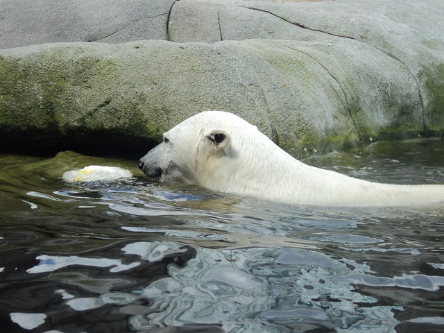 Eine erfrischende Abkühlung...