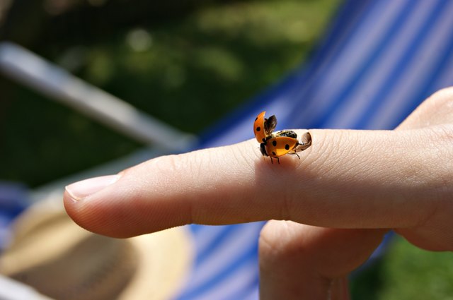 chilling in the sun ;)